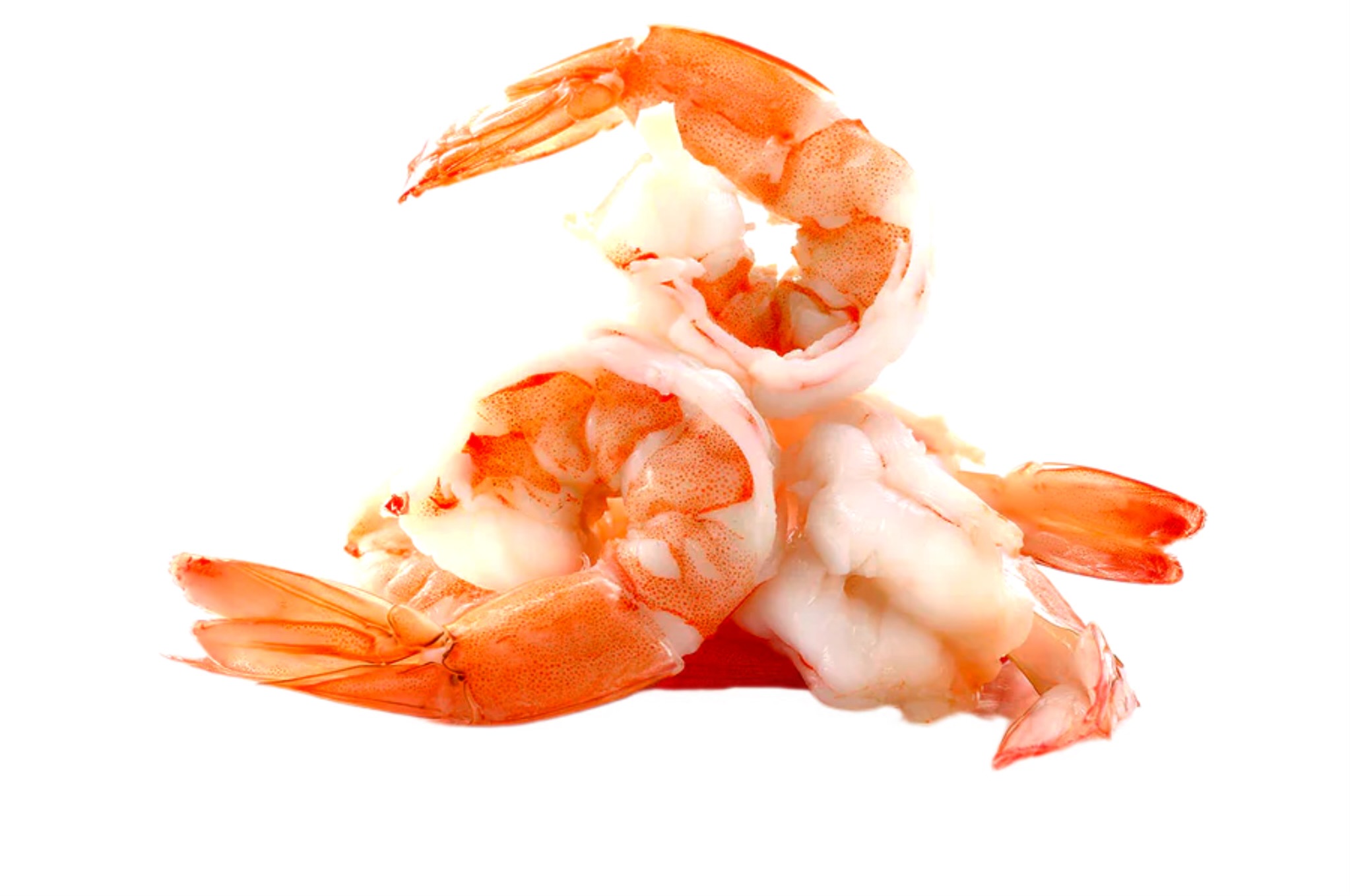 Crevettes Cuites 26/30 Avec Queue