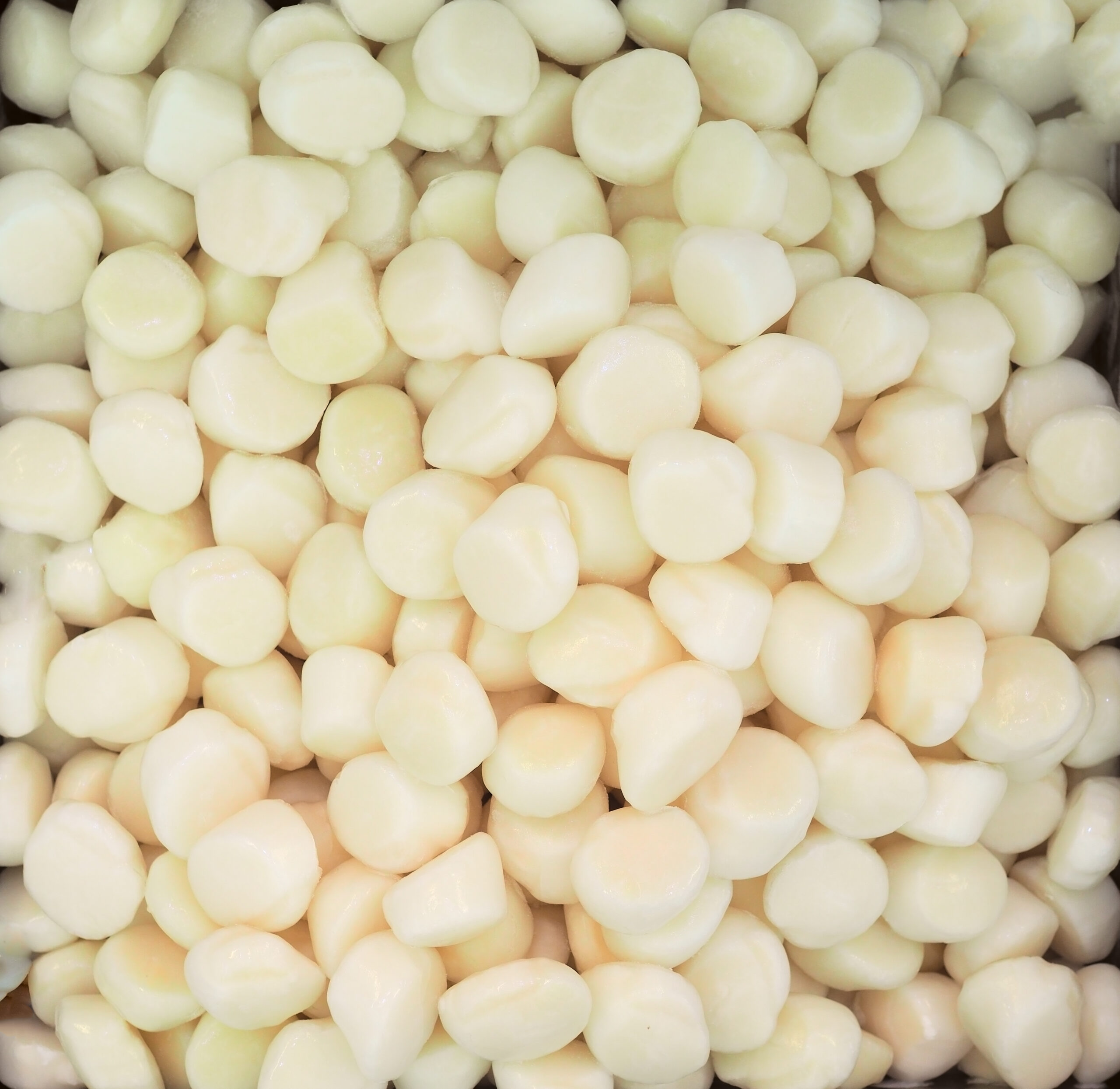 Pétoncle Baie 150/200 (Congelé)